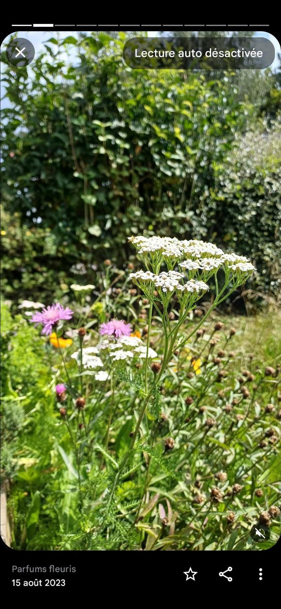 Gite Classe Deux Etoiles Gite De France N 17 Signy-Le-Petit Exteriör bild